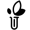 Dermatologische Forschung