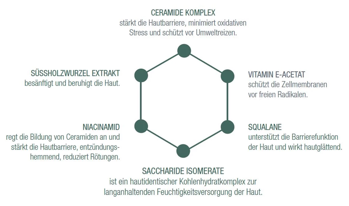 Eine sechseckige Infografik, die sechs wichtige Hautpflege-Inhaltsstoffe (Ceramide Complex, Süßholzwurzel-Extrakt, Niacinamid, Saccharide Isomerate, Squalan, Vitamin E-Acetat) sowie deren Nutzen darstellt.