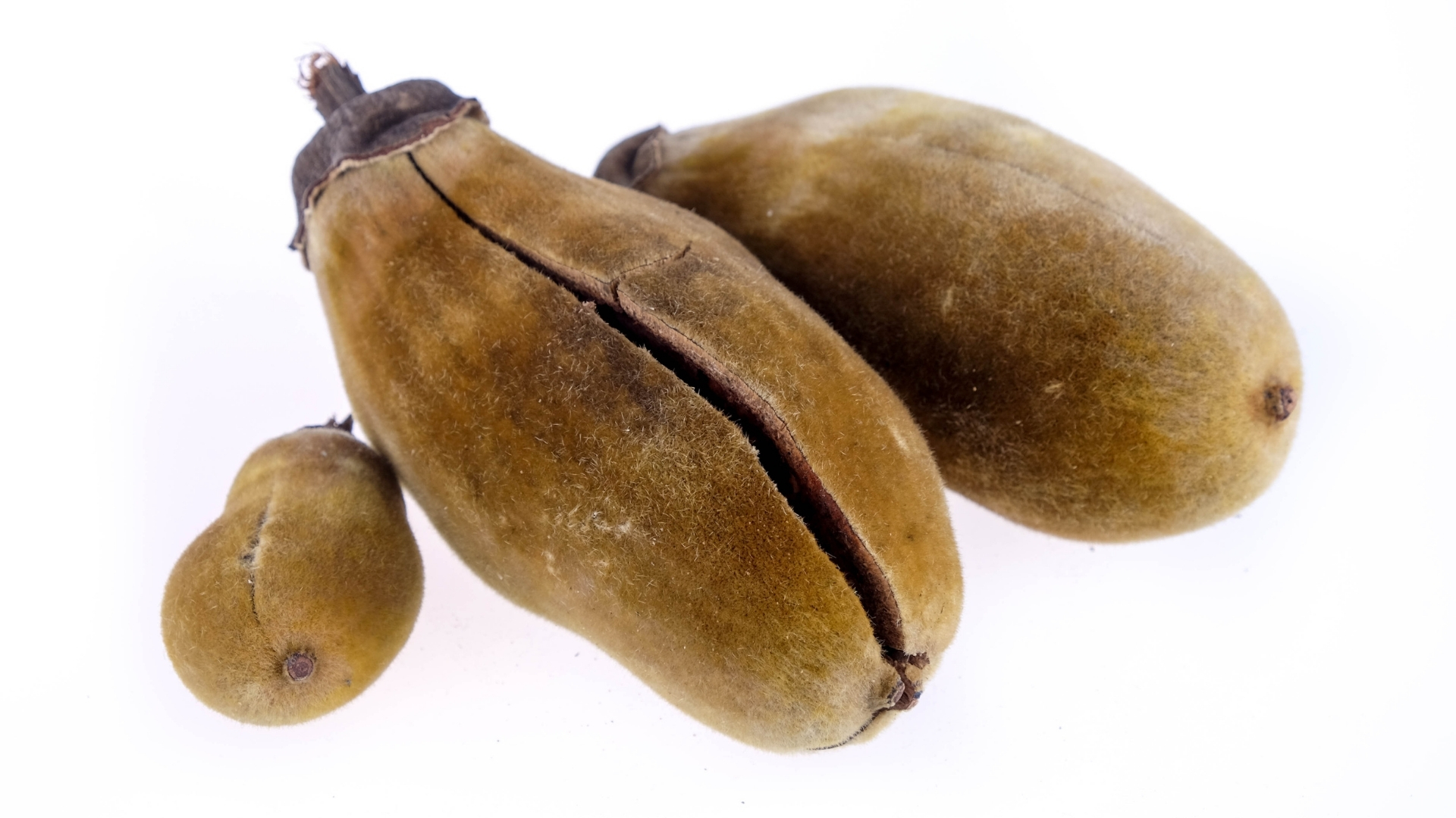 Baobab-Öl