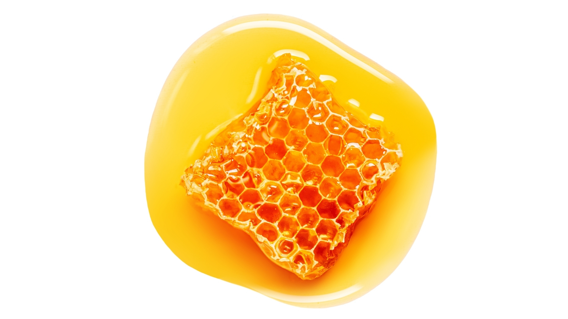 Bienenwachs