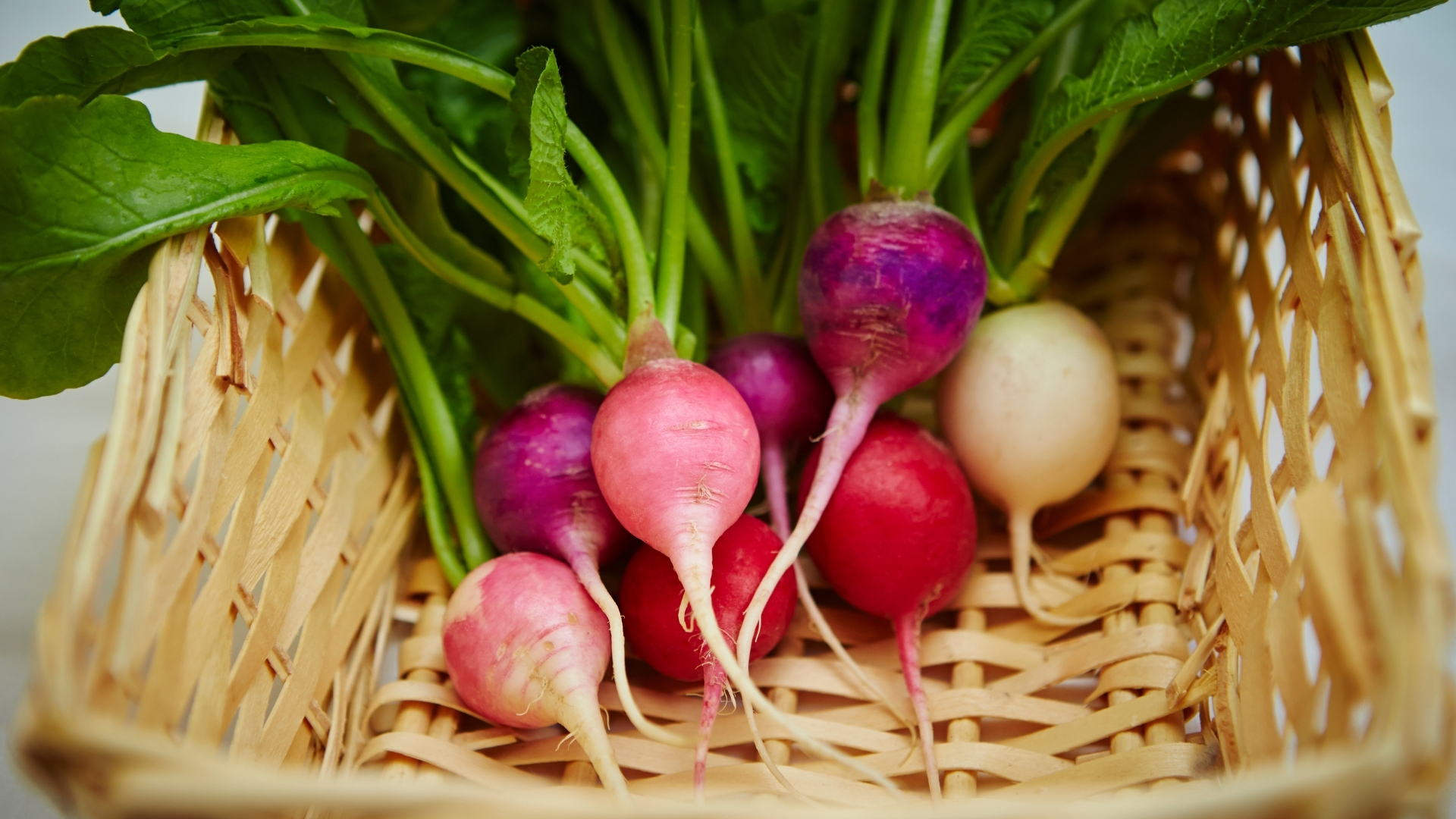 Beta Vulgaris maritima Extrakt in der Hautpflege