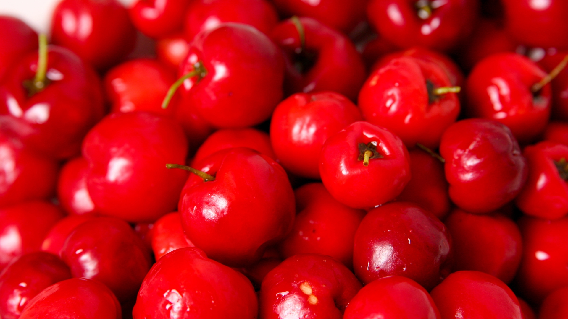 Acerola Frucht Extrakt in der Hautpflege