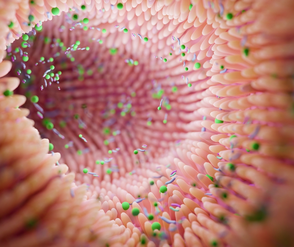 Microbiome de la peau, visualisation