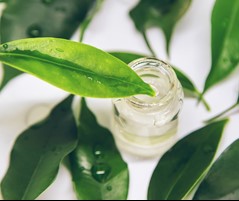 Home remedies, clay and tea tree oil