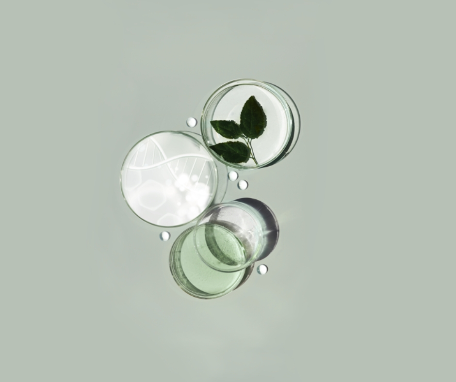 Anti Pollution Treatment bei JANSSEN COSMETICS